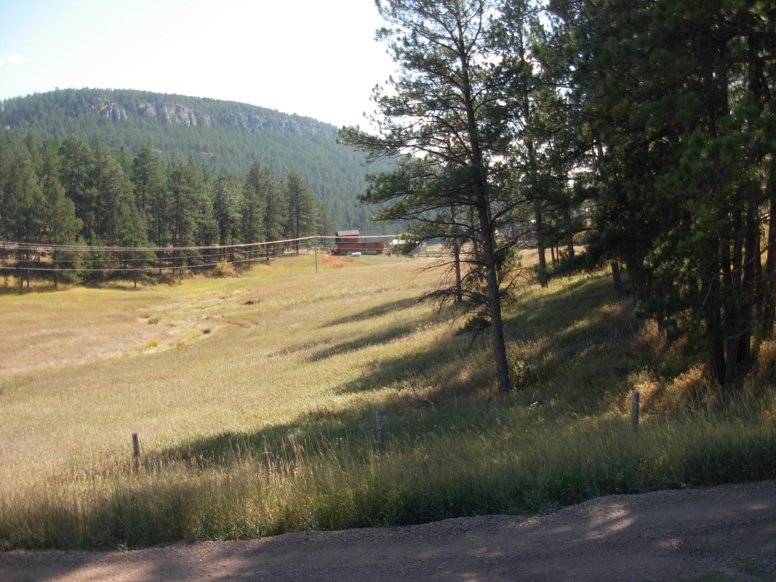 Corner of – Nemo Road and Vanocker Road